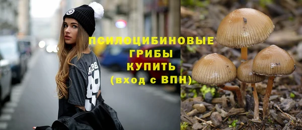 ешки Осинники