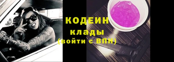 ешки Осинники