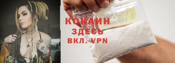 ешки Осинники