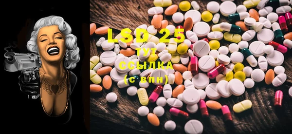 PSILOCYBIN Осташков