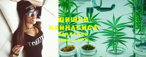 ешки Осинники