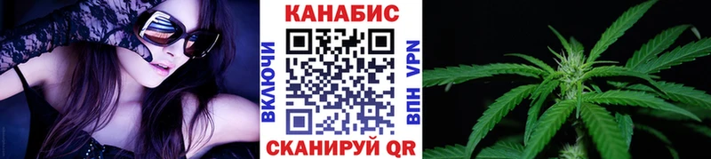 Конопля OG Kush  Купить где  Кувшиново 